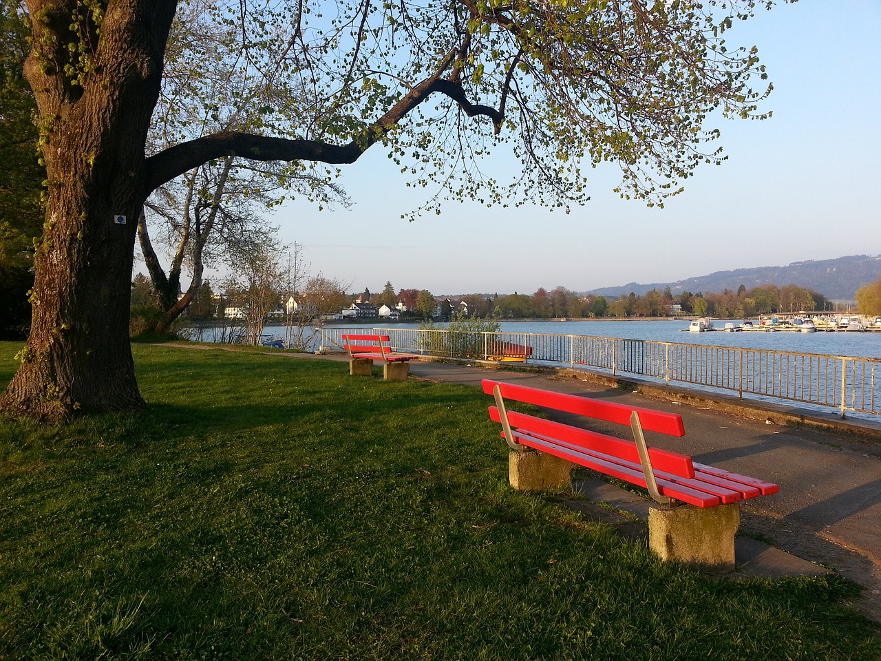 引入海外市 引入海外市