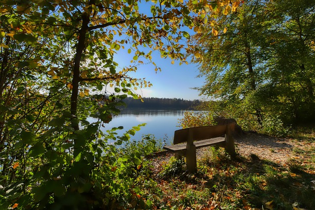 机的关键因 机的关键因