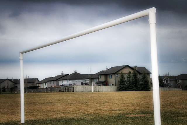 竞争中站稳 竞争中站稳