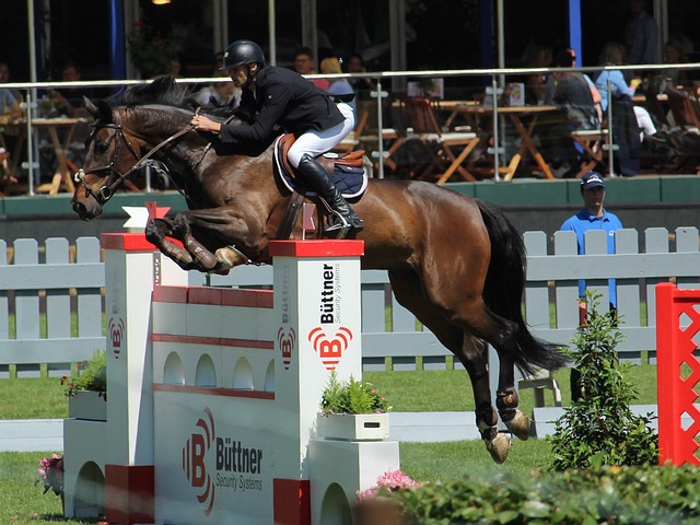 确的依据 确的依据