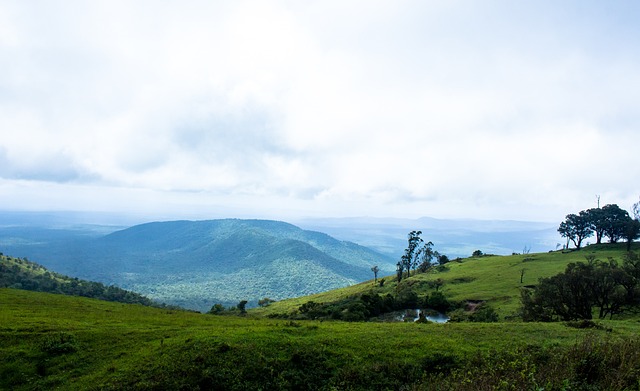 其在欧洲具 其在欧洲具