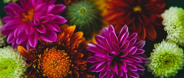 使每位球员 使每位球员